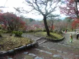 20191129_145152.webp