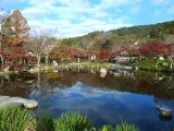 20191129_150049.webp