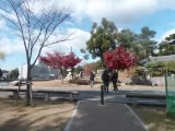 20191130_121146.webp