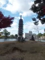 20191130_121240.webp