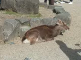 20191130_122138.webp