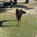 20191130_135922.webp