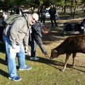 20191130_140026.webp