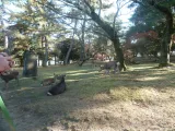 20191130_140229.webp