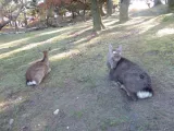 20191130_140256.webp