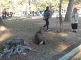 20191130_140438.webp