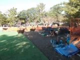20191130_141006.webp