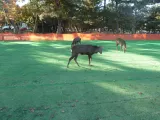 20191130_145958.webp