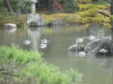 20191202_134731.webp