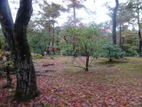 20191202_135001.webp